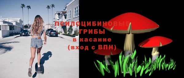 спайс Рославль