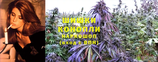 тгк Ростов