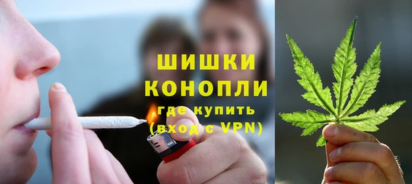 спайс Рославль