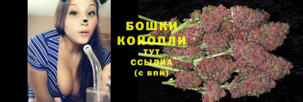спайс Рославль