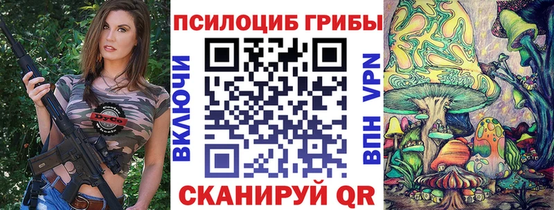 Галлюциногенные грибы Psilocybine cubensis  Купить где  Лесозаводск 